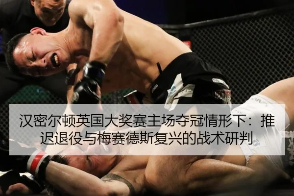 han-mi-er-dun-ying-guo-da-jiang-sai-zhu-chang-duo-guan-qing-xing-xia-tui-chi-tui-yi-yu-mei-sai-de-si-fu-xing-de-zhan-2-606.jpg