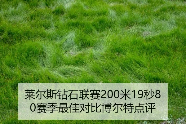 lai-er-si-zuan-shi-lian-sai-mi-miao-sai-ji-zui-jia-dui-bi-bo-er-te-dian-ping-2-203.jpg